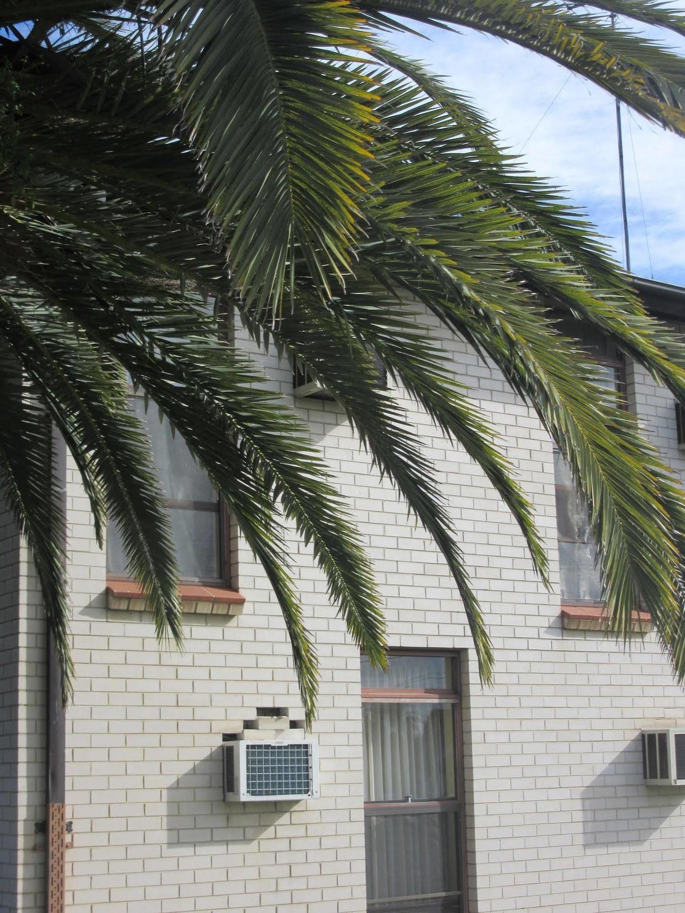 El Toro Motor Inn Warwick Farm Exterior foto